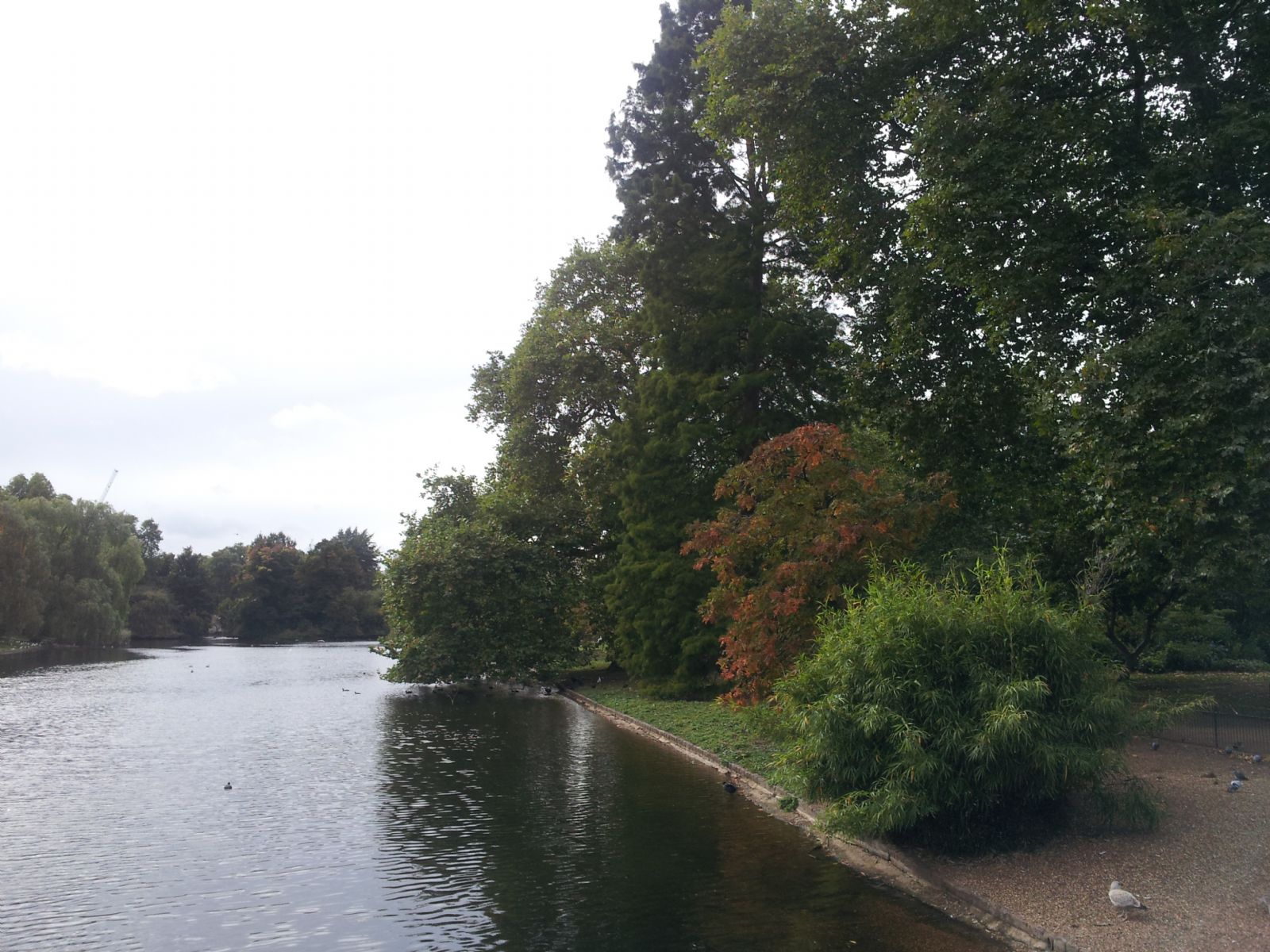 St JAMES'S PARK